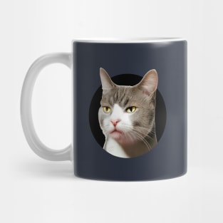 Sarcastic, indifferent cat...so, what? Mug